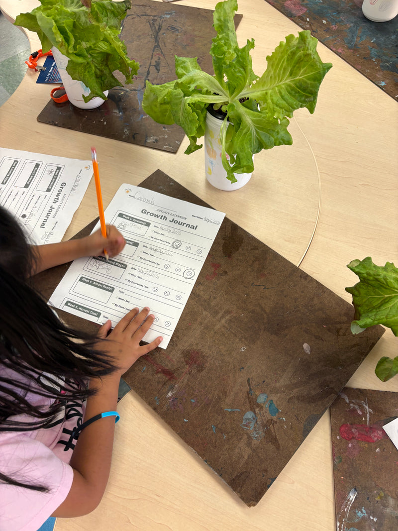 Measure, Record & Conclude Lesson