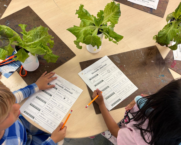 Key Student Takeaways