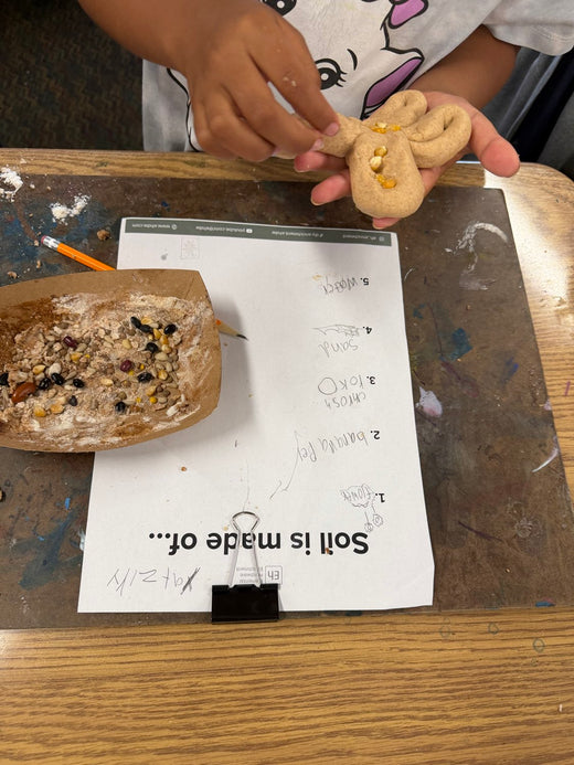 Soil Playdough Lesson