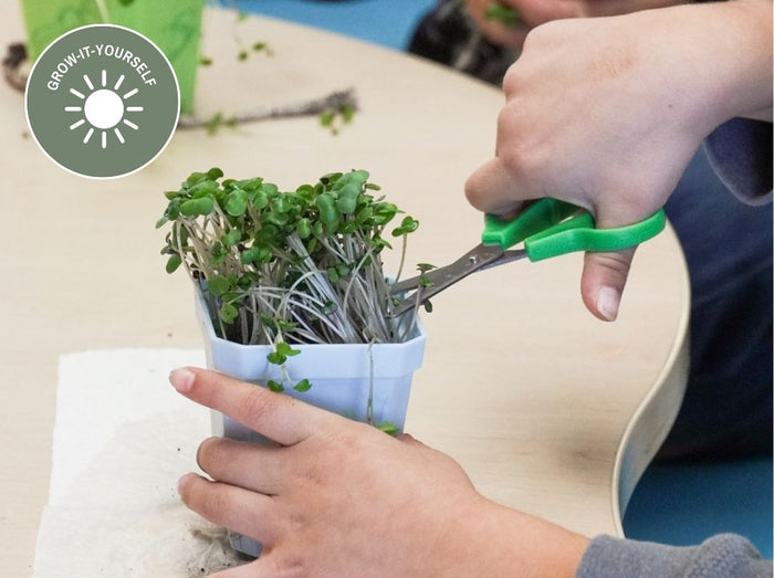 Grow-It-Yourself: Harvest Series Monday - Friday Oct 26 - Oct 30 | Ages 5 - 9