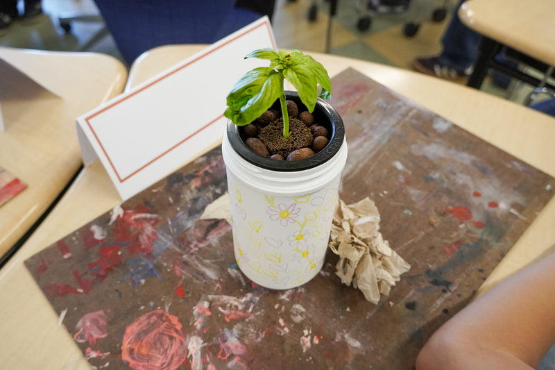 Plant Propagation Lesson